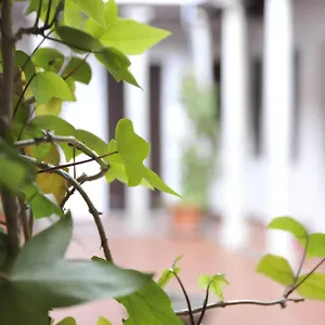 Adanar-Las Columnas Apartmán